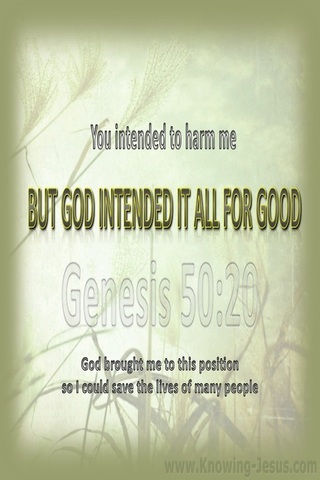 Genesis 50:20 Good From Evil (sage)